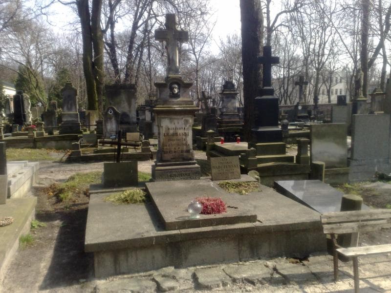 Zdjęcie grobu: Henryk Lejbrandt