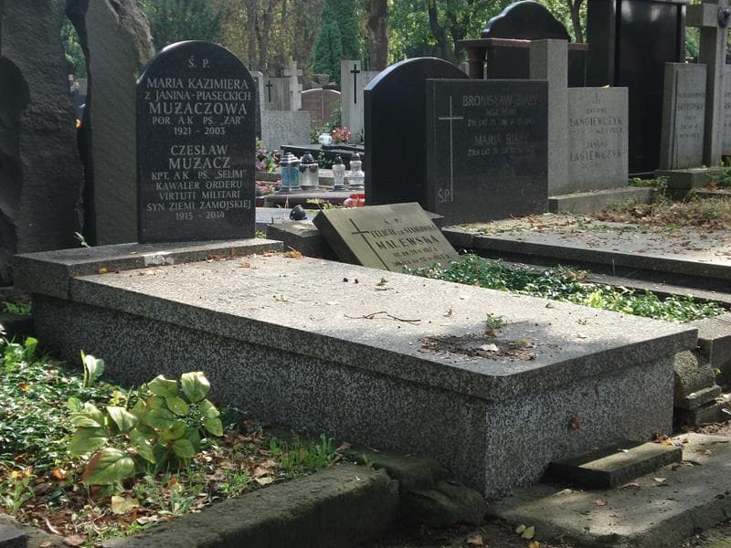 Zdjęcie grobu Jadwiga Teresa Janina-Piasecka (1)