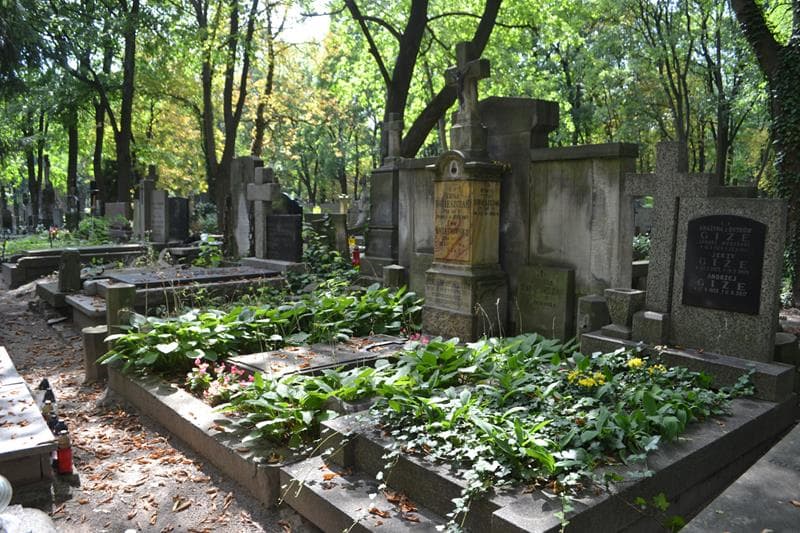 Zdjęcie grobu: Bronisława Baraniecka