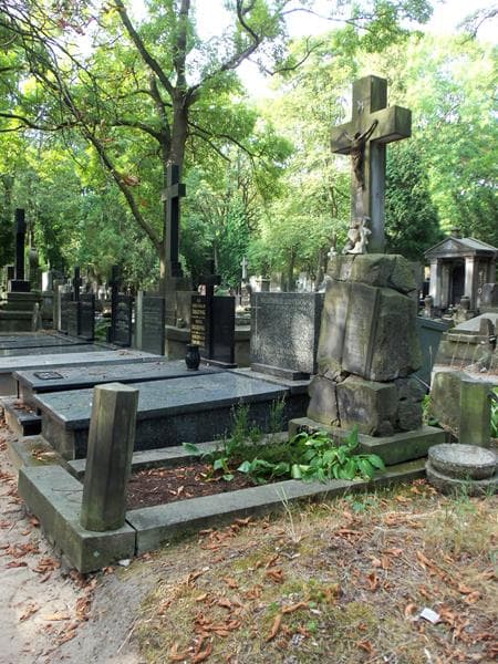 Zdjęcie grobu Stanisław Obrębski (1)