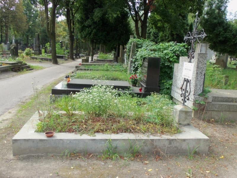 Zdjęcie grobu Kazimiera Rzewuska (1)