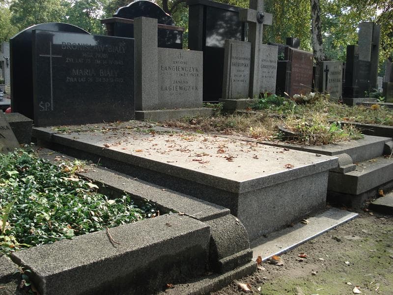 Zdjęcie grobu Bronisław Biały (1)