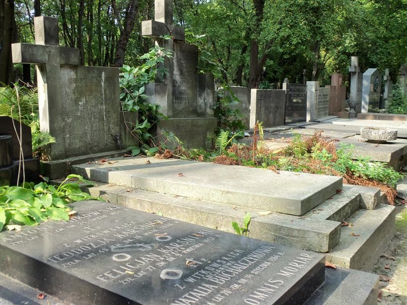 Zdjęcie grobu Zofia Hepke (1)