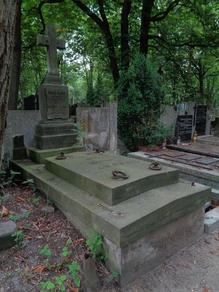 Zdjęcie grobu Teodor Antos (1)