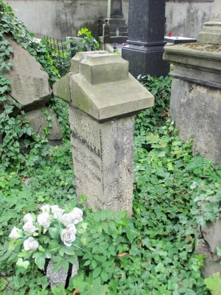 Zdjęcie grobu Marya Kośmińska (2)