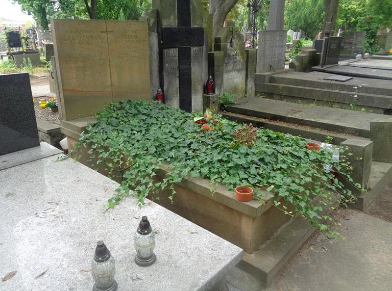 Zdjęcie grobu: Wanda Drulis