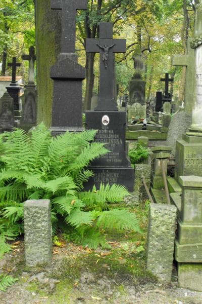 Zdjęcie grobu: Magdalena Niedzielska