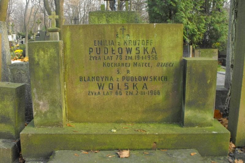 Zdjęcie grobu Emilia Pudłowska (2)