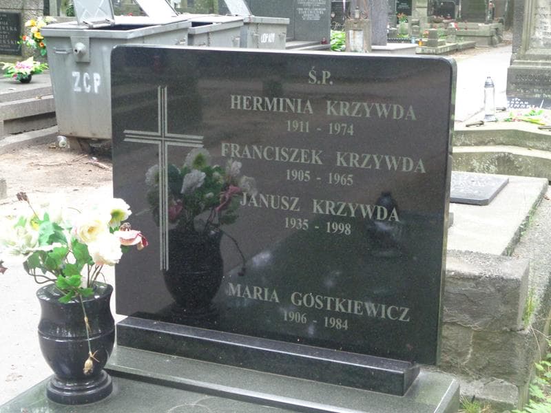 Zdjęcie grobu Hermina Krzywda (2)