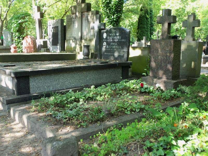 Zdjęcie grobu Władysław Lipiński (1)