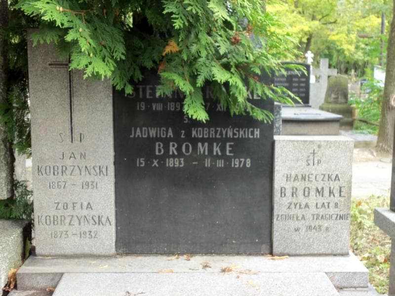 Zdjęcie grobu Jan Kobrzyński (2)