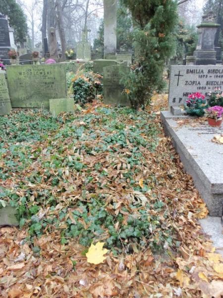 Zdjęcie grobu: Stefan Biedroński
