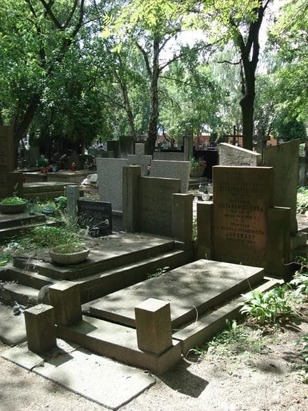 Zdjęcie grobu Jerzy Janowski (1)