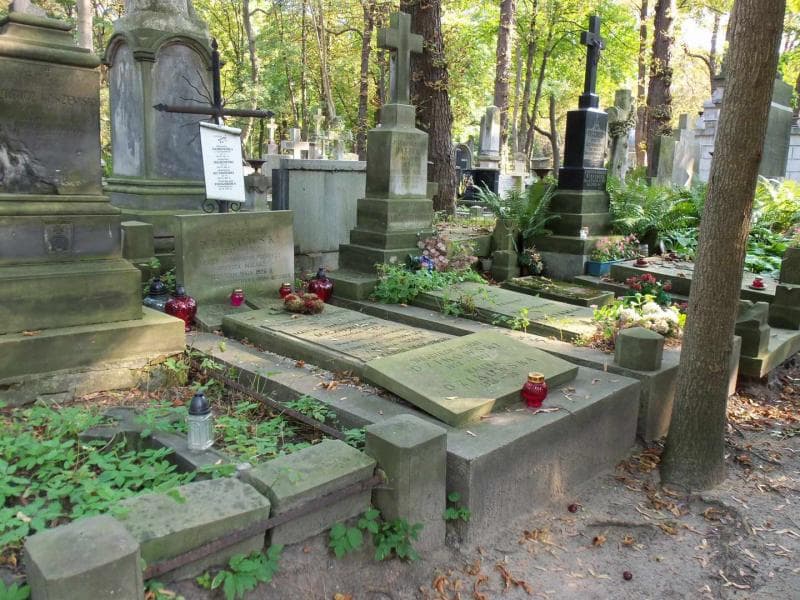 Zdjęcie grobu Karol Makowski (1)