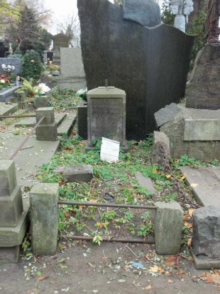 Zdjęcie grobu: Stefania Florysiak