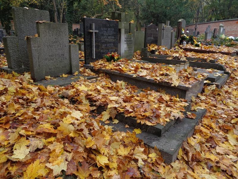 Zdjęcie grobu: Ludwik Fynfsztyk