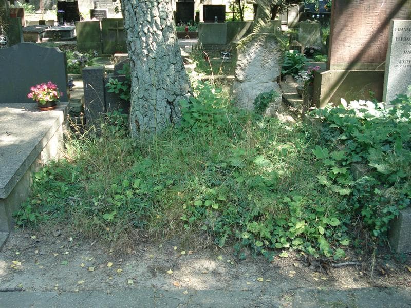 Zdjęcie grobu: Pole Grobowe