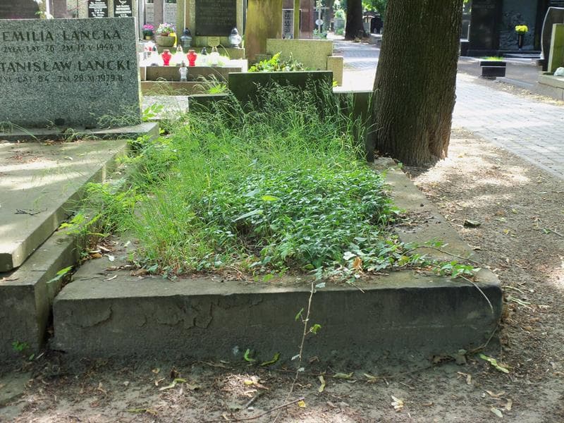 Zdjęcie grobu: Bolesław Piesiewicz