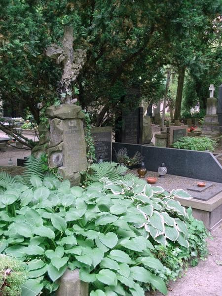Zdjęcie grobu: Eleonora Walkiewicz