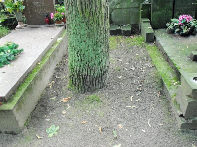 Zdjęcie grobu: Pole Grobowe
