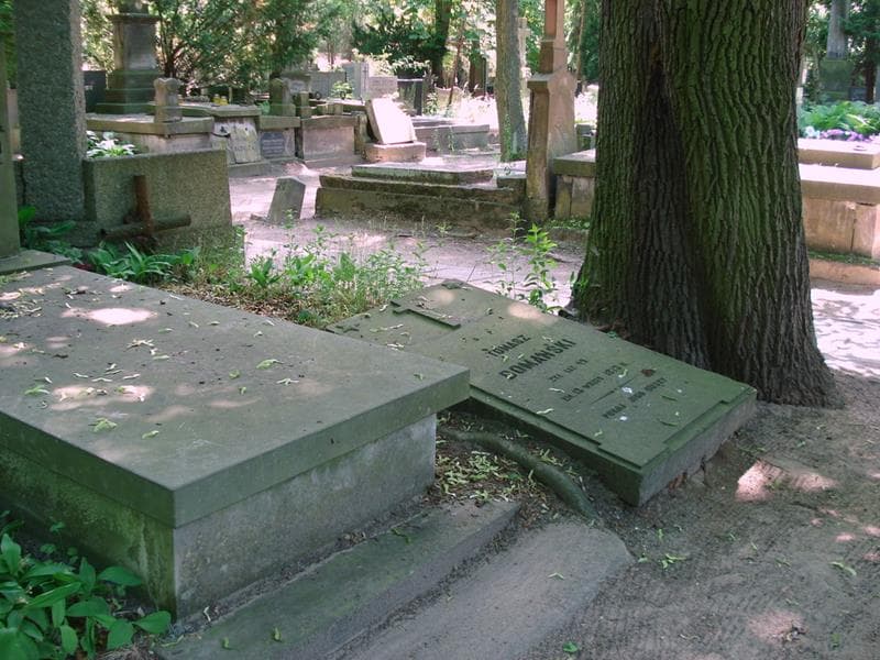 Zdjęcie grobu: Tomasz Domański