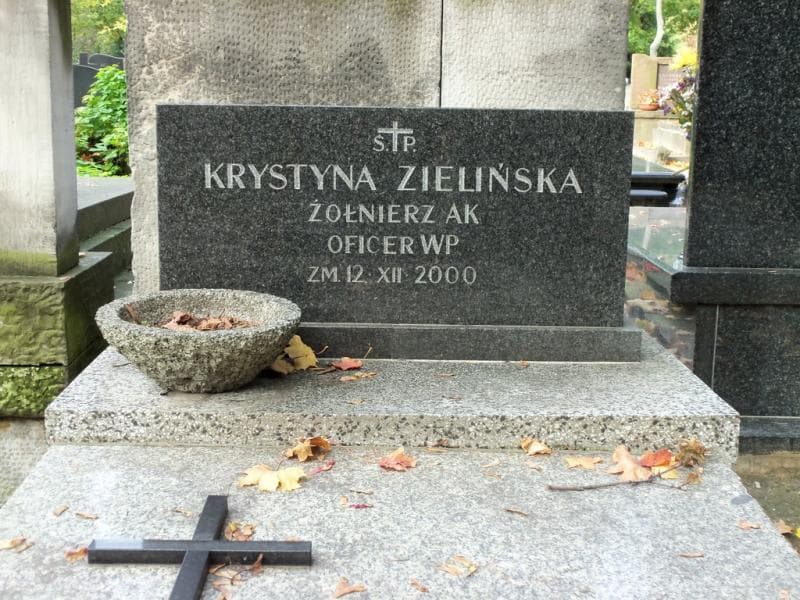 Zdjęcie grobu Władysław Trzaskalski (2)