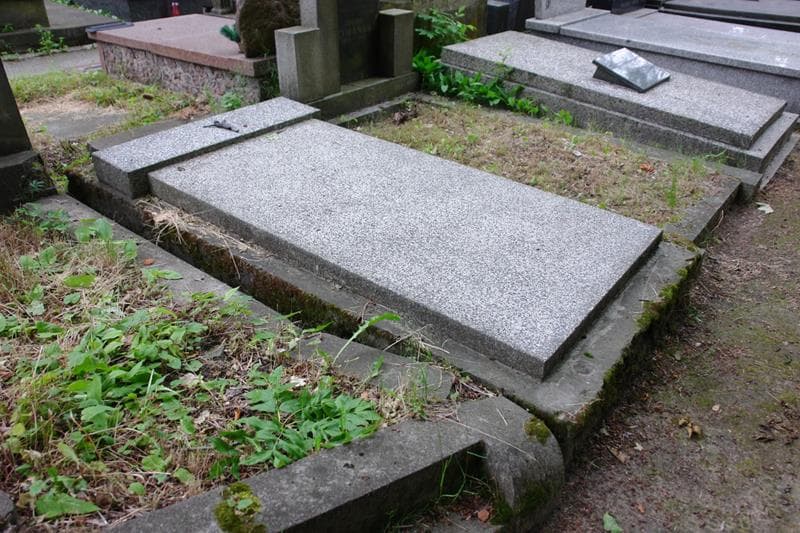 Zdjęcie grobu Stanisław Domiński (2)