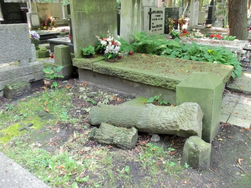 Zdjęcie grobu Konstanty Kurczewski (1)
