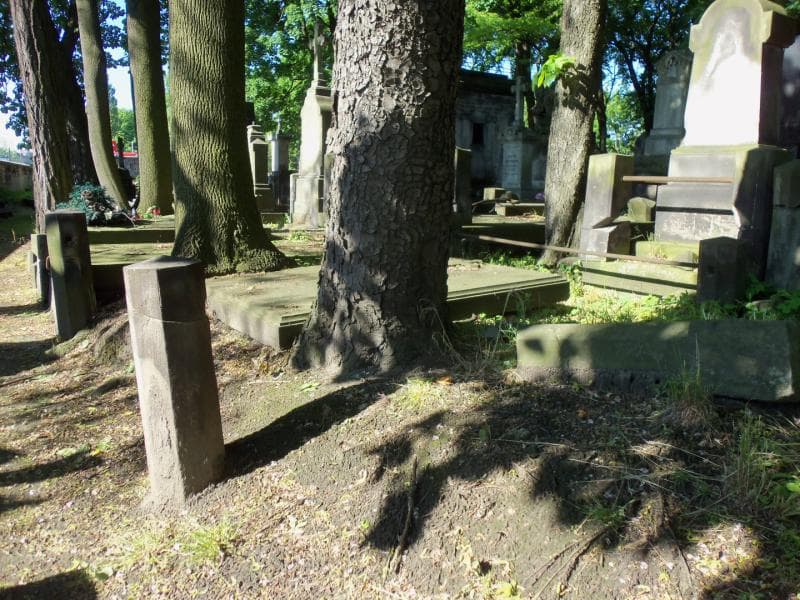 Zdjęcie grobu Hertlowie (1)
