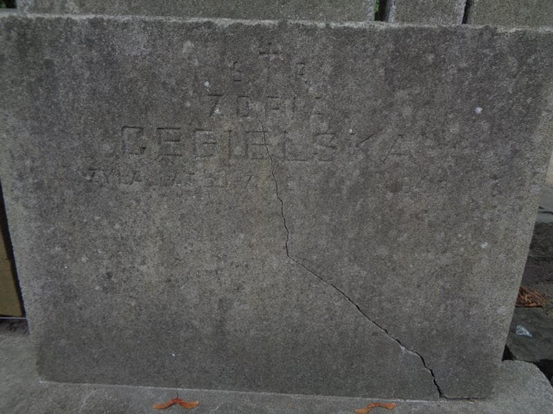 Zdjęcie grobu Zofia Cegielska (2)