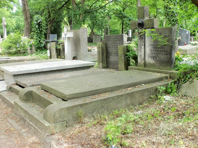Zdjęcie grobu Maria Stanisława Stępniewska (1)