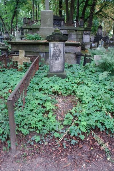 Zdjęcie grobu Ignacy Niedlher (1)