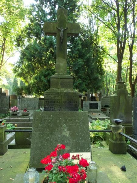 Zdjęcie grobu Ludwik Walicki (2)