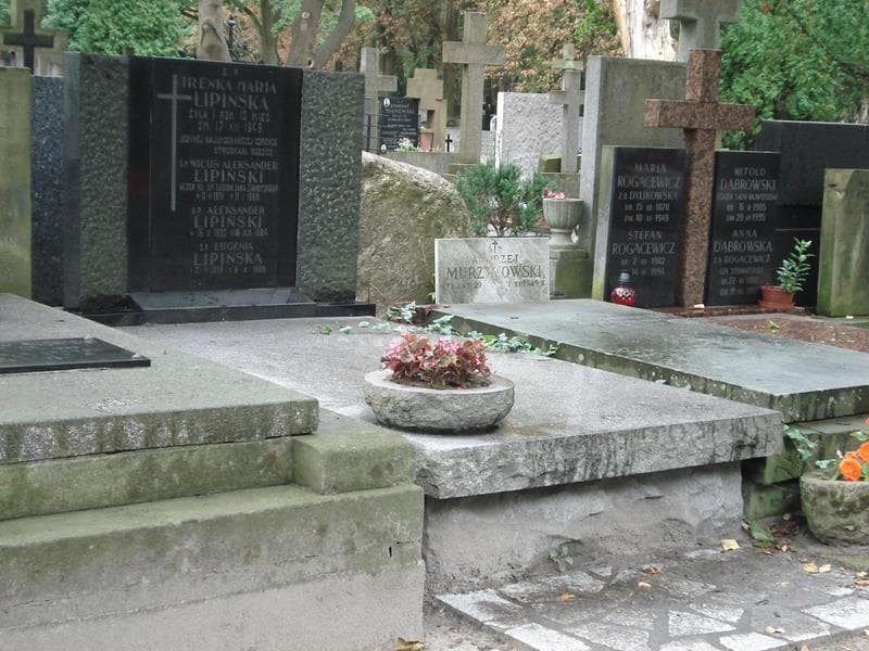 Zdjęcie grobu Aleksander Lipiński (1)