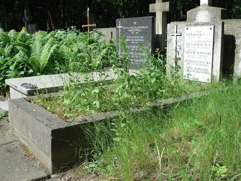 Zdjęcie grobu Hela Niedziałkówna (1)