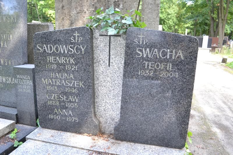 Zdjęcie grobu Halina Matraszek (2)