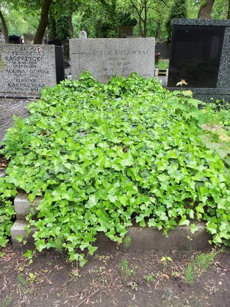 Zdjęcie grobu: Leszek Żuławski