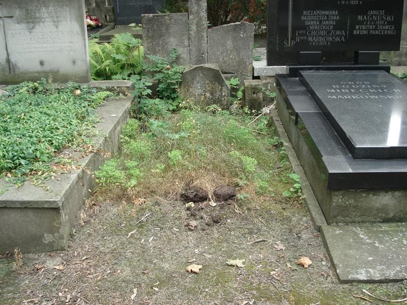 Zdjęcie grobu: Juljan Żółtowski