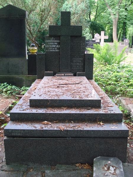 Zdjęcie grobu Franciszek Plechler (1)
