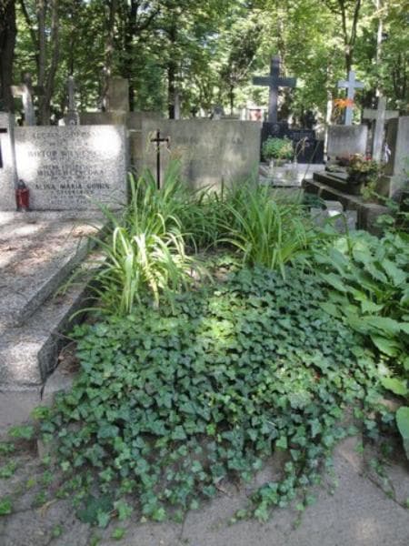 Zdjęcie grobu: Stanisława Markiewicz