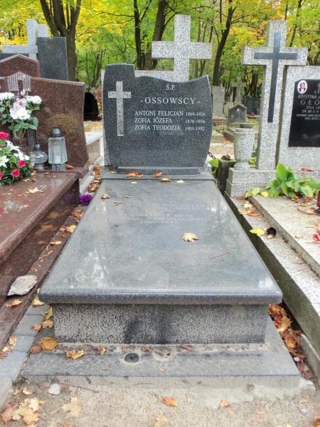 Zdjęcie grobu: Mieczysław Ossowski