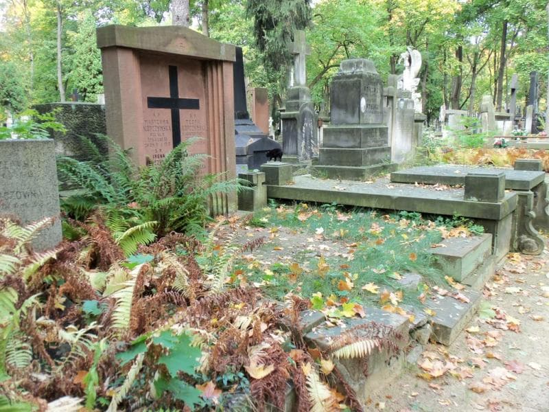 Zdjęcie grobu Teofil Kópczyński (1)