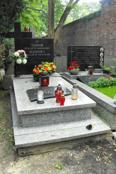 Zdjęcie grobu: Teodor Pawiński