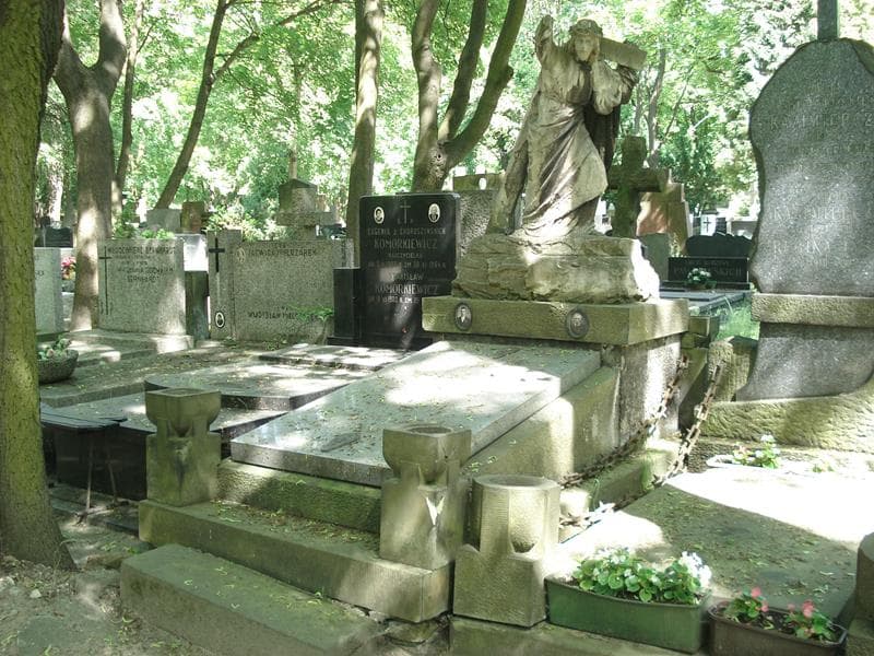 Zdjęcie grobu Bolesław Damięcki (1)