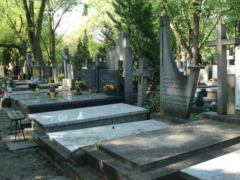 Zdjęcie grobu: Irmina Szlemińska