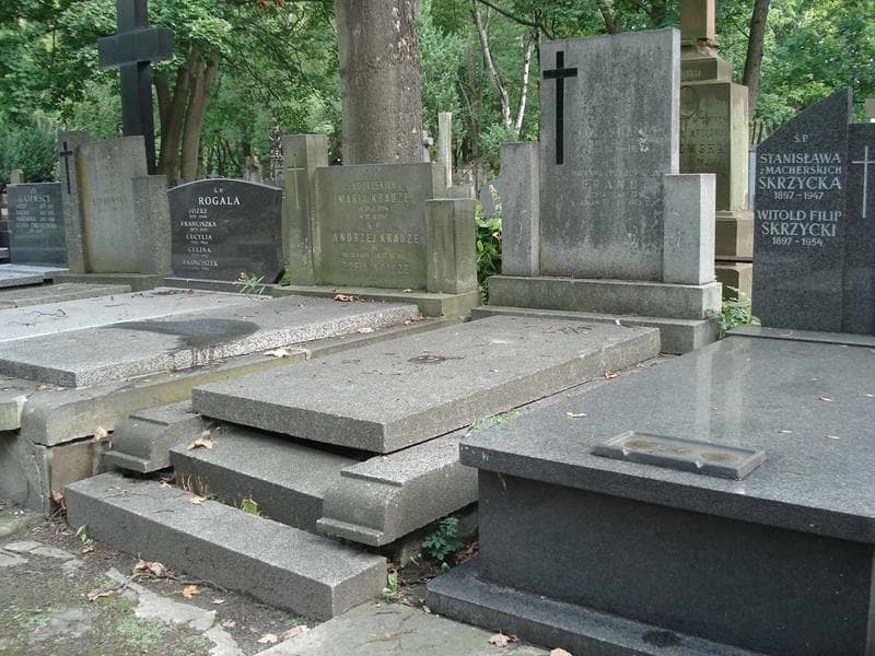 Zdjęcie grobu Wacława Brandt (1)