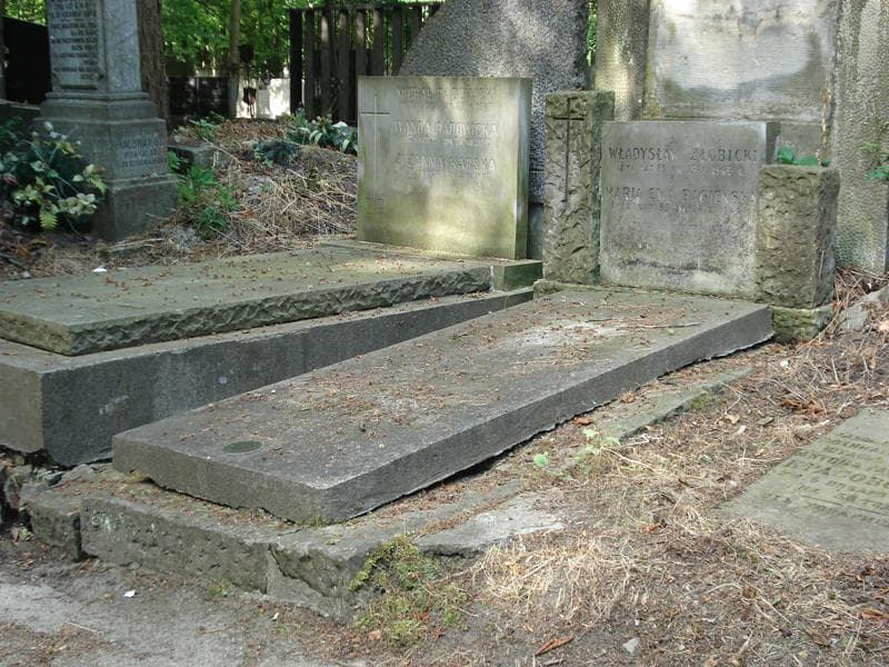 Zdjęcie grobu Władysław Żłobicki (1)