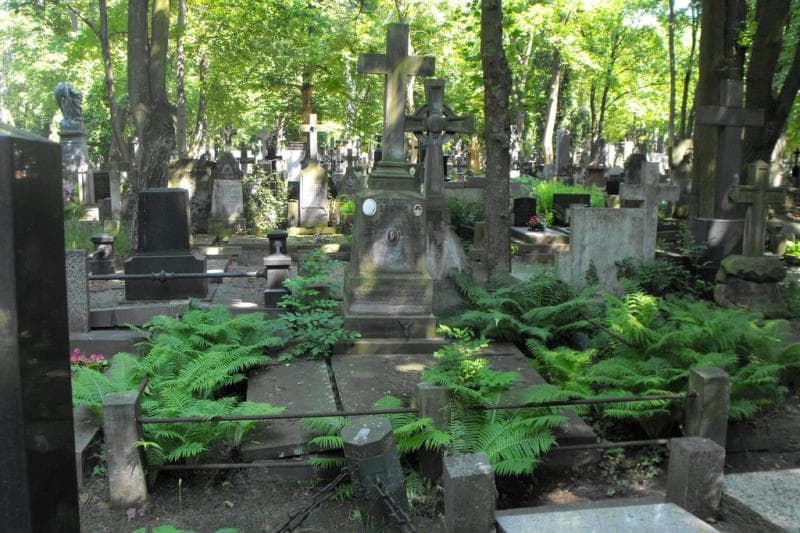 Zdjęcie grobu Stanisław Lubaczewski (1)