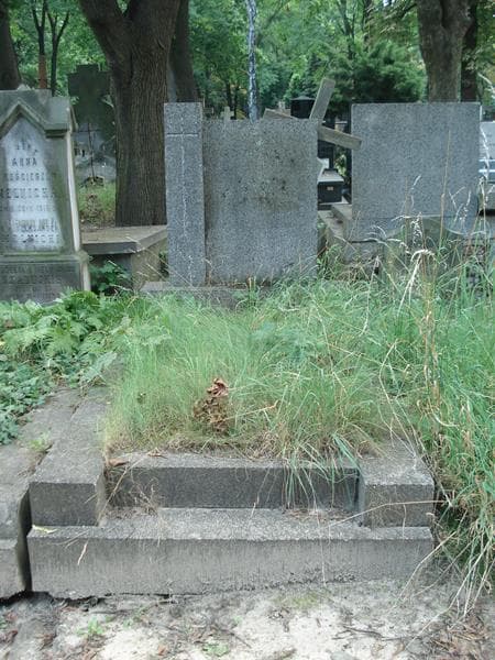 Zdjęcie grobu: Karol Rybiński