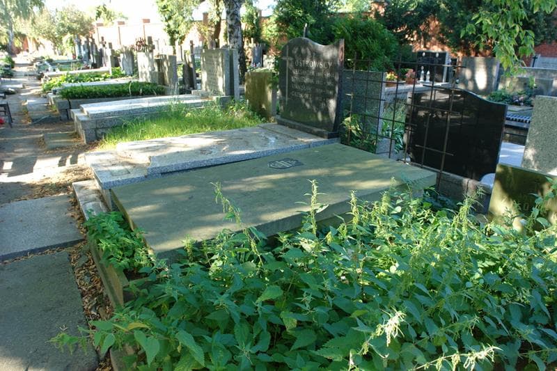 Zdjęcie grobu: Julian Jan Lorek